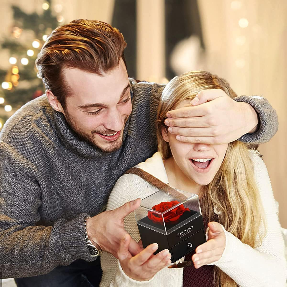 Preserved Red Rose Gift Box- Enchanted Real Roses with Ruby Brooch, Eternal Rose Flower in Jewelry Box, Handmade Rose,Forever Red Rose Gift for Her on Christmas Mother'S Day, Anniversary.